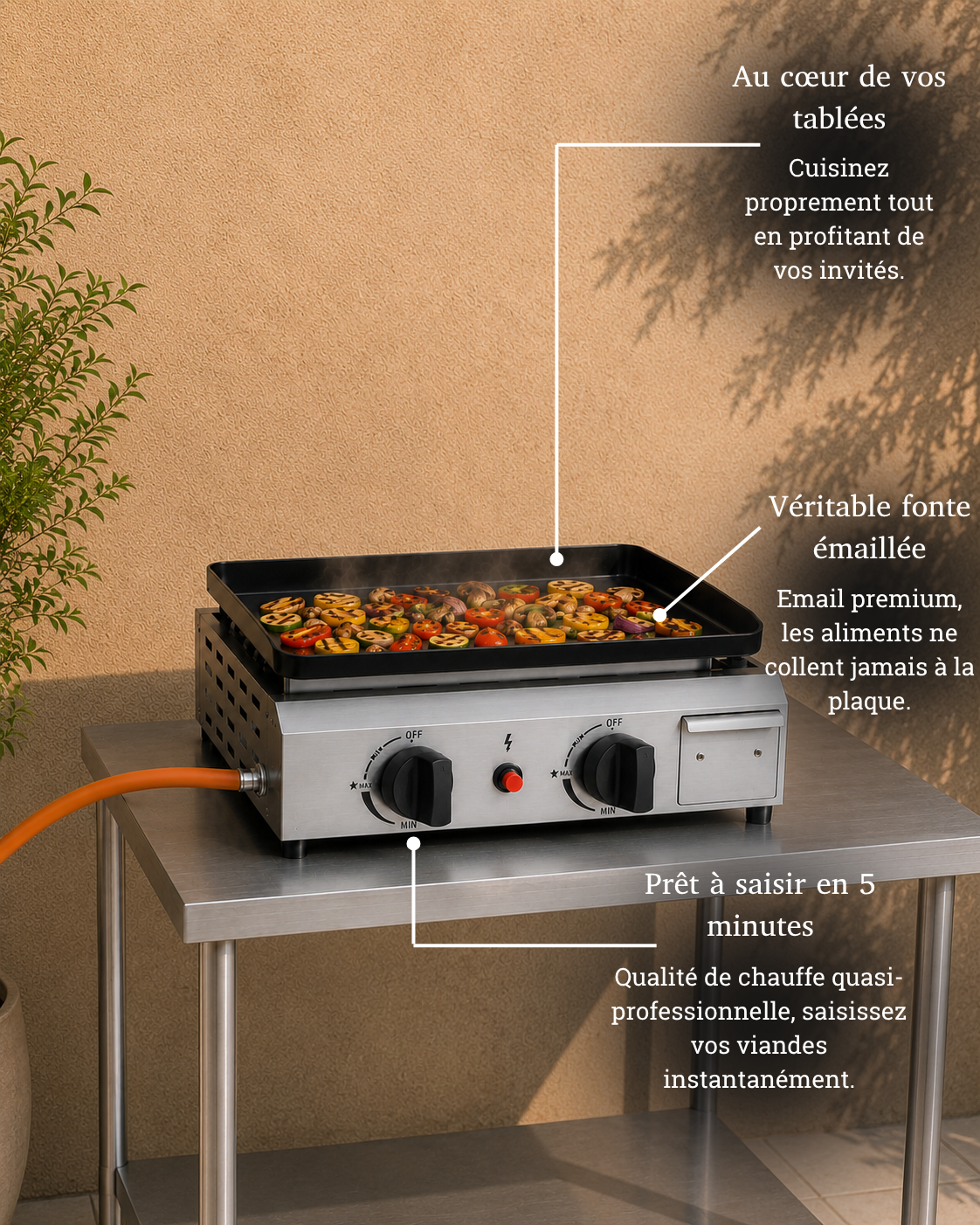 Plancha Gaz 2 Brûleurs - Pack La Signature