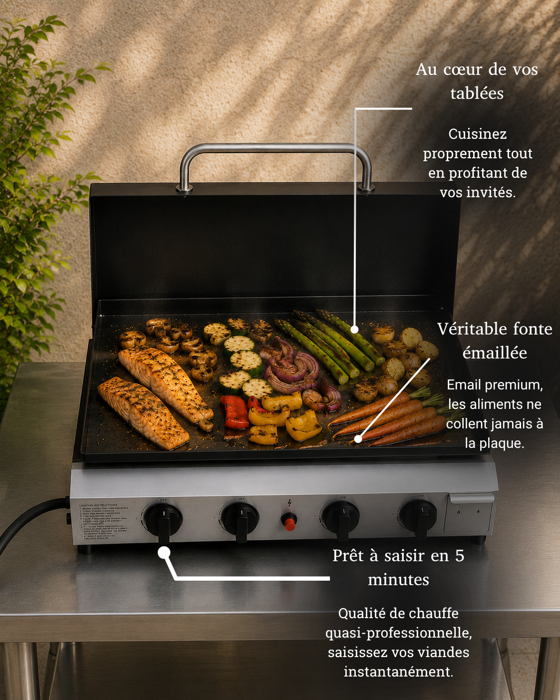 Plancha Gaz 4 Brûleurs - Pack L'Imposante